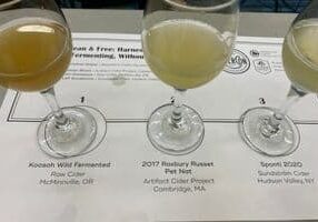 313: Wild Yeast Fermentations | CiderCon 2022