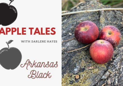 AppleTales_ArkansasBlackWeb_FINAL1