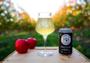 Our 10 Top Dry (Cider) January Picks