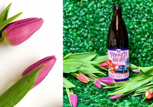 RaggedRight_TulipCider