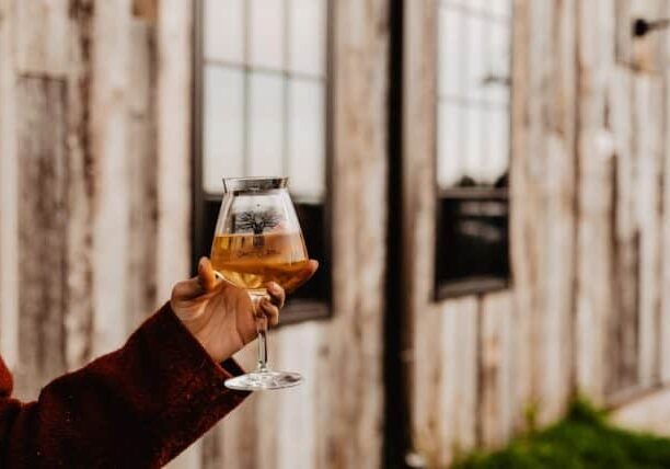 Hard Cider Myths Debunked